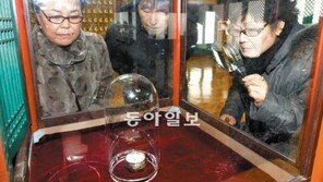 지관스님 사리 일부 8과 공개