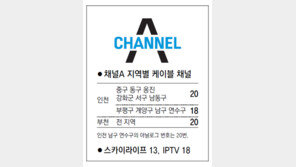 [인천/경기]채널A 지역별 케이블 채널