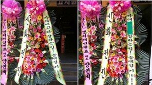 전진 센스화환 눈길 “카레빼고 다잘해-송백경 키 160cm”