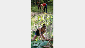 전혜빈, 정글의  ‘여자 김병만’ 등극! “톱질은 어디서 배운거야? 수준급!!”