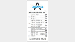 [광주/전남][전북][제주]채널A 지역별 케이블 채널