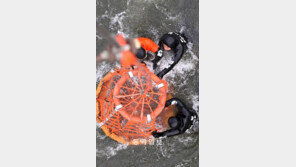 핵안보정상회의 대비 수상구조 훈련