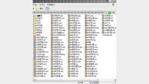 ‘남동생의 비밀폴더’ 본 누나의 센스 넘치는 일침…“폭소!”