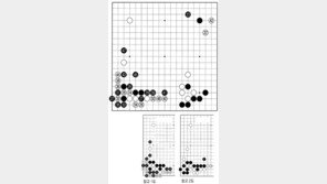 [바둑]제55회 국수전… 백 30, 정석의 갈림길