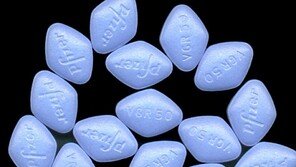 죽어가는 꽃도 살리는 비아그라 효과 대박!… “정말 그럴까?”