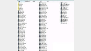 ‘누나의 비밀폴더’까지 등장… “차라리 야동을 봐!”