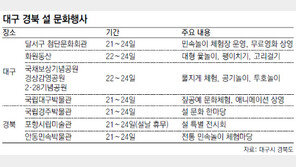 [대구/경북]설 연휴 민속놀이 체험하고 무료 영화 즐기세요