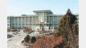 [인천/경기]청운대 인천캠퍼스 유치 확정