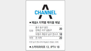 [인천/경기]채널A 지역별 케이블 채널