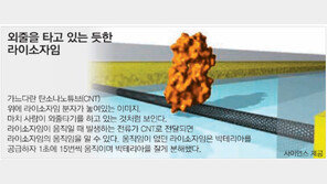 ‘외줄타기’ 착안 라이소자임 움직임 관찰 성공