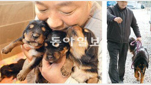 [단독]‘억’ 소리나는 사자개, 황우석 박사가 복제한 수컷과 번식 성공 