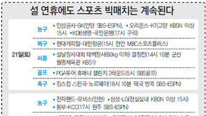 설 연휴에도 스포츠 빅매치는 계속된다