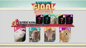 도개걸윷모 해당 동물, 무엇일까?… “상식으로 알아두세요”