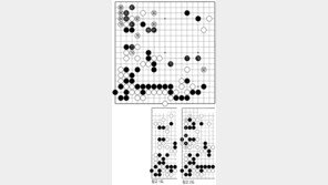 [바둑]제55회 국수전… 세 수나 들였는데도…