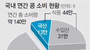 “요새 콩 왜 이래” 두부생산량 10% 줄고 돌까지 섞여