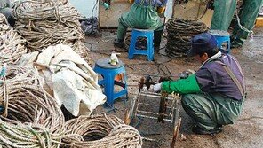 [부산/경남]마음은 벌써 바다로