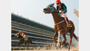 ‘퀸스투어’ 신설 1위에 3억 쏜다