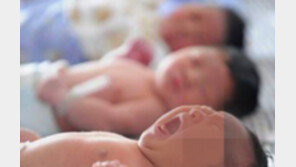 “이왕이면 흑룡띠로” 너도나도 임신미뤘더니… 