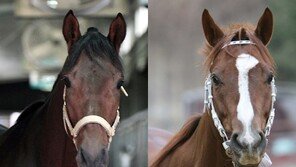 신구 馬왕 빅뱅