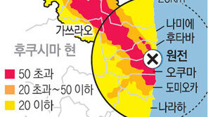 “사람이 살 땅 못 된다” 日 끝내 후쿠시마를 버리다