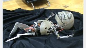 신생아와 똑같이 움직이는 아기 로봇… “헉! 완전 똑같아”