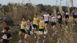 제주의 겨울을 달리는 여성 건각들