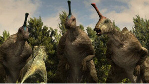 ‘점박이’, ‘마당’ 제치고 한국 애니 개봉주 흥행 기록 수립