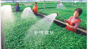 [광주/전남]“빨리 만나고 싶다, 봄의 푸른 꿈”