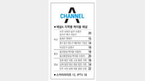 [부산/경남]채널A 지역별 케이블 채널