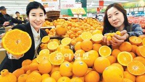 “감기 예방-피로 해소 비타민C가 최고죠”