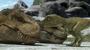 점박이 공룡, 암닭 눌렀다