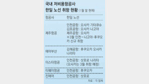 한일 하늘길 저가 항공사 뜨거운 경쟁