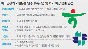 김승유, 하나금융 차기회장 후보군서 빠졌다