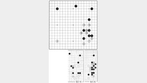 [바둑]제55회 국수전… 백 14는 새로운 수