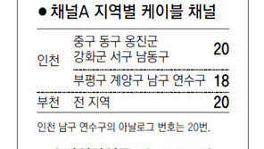 [인천/경기]채널A 지역별 케이블 채널 