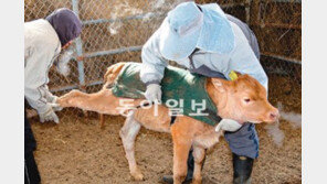 봄이 오다 ‘얼었다’… 전국 곳곳 한파기록 경신