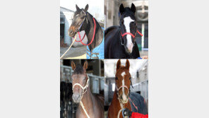 ‘신예’ 마니피크 4연승 누가 막으랴