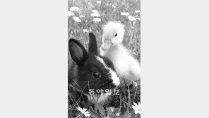 [O2/유영만이 풀어보는 생각지도]남과 비교하십니까, 어제의 나와 비교하세요