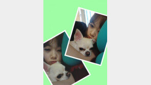 ‘써니’ 김보미, 애견과 낮잠 셀카 ‘은근 닮았어’