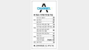 [광주/전남][전북][제주]채널A 지역별 케이블 채널