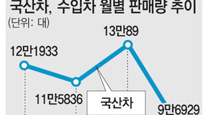 국산차 25%↓ 수입차19%↑… 1월 자동차시장 판매실적 ‘희비’