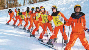 [강원]알펜시아 드림프로그램 내일 개막