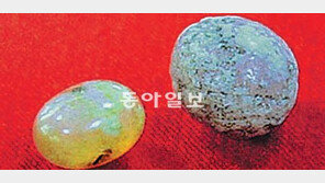 [부산/경남]범어사 7층 석탑서 진신사리 2과 발견