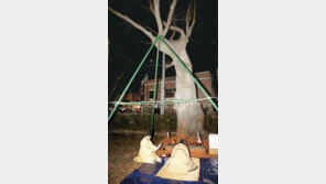 [대구/경북]“17만 안동시민 안녕 살펴주소서”