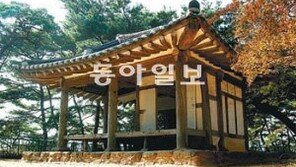 [함성호의 옛집 읽기]<5>소쇄원 옆 식영정