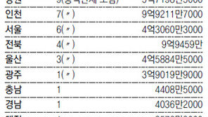 세금낭비 지자체 97곳 적발… 교부세 81억 첫 삭감조치