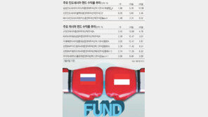 [라이벌 리포트]인도네시아 펀드 vs 러시아 펀드