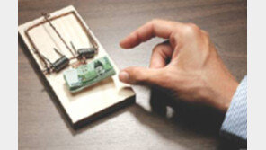 “‘우리’ 붙었길래 유명 금융사인줄 알고 대출받으려다…”