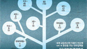 그 많던 짝퉁 대부업체, 사라졌나 했더니…