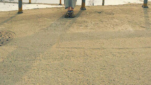 지연, ‘작은 얼굴+극세사 발목’ 사람 맞아?